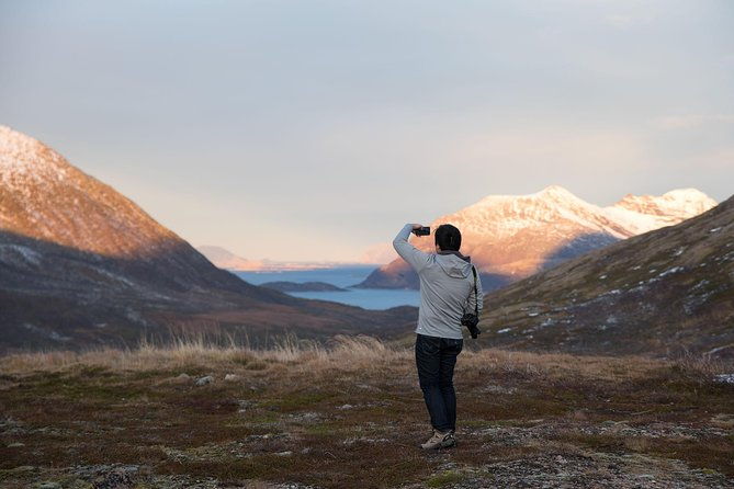 arctic-fjords-road-trip