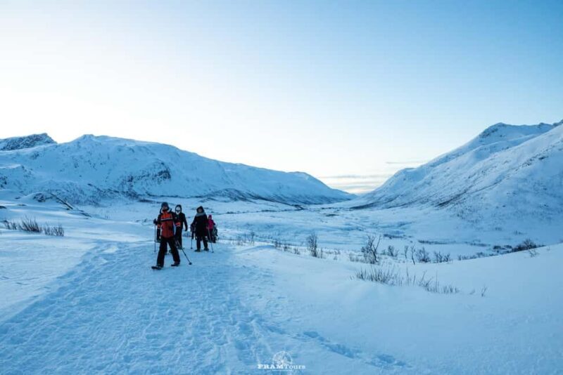 Arctic hike on Kvaløya Island with drinks and snacks - The Journey to Kvaløya