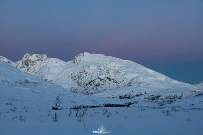 Arctic hike on Kvaløya Island with drinks and snacks - Snowshoeing in Silent Arctic Nature