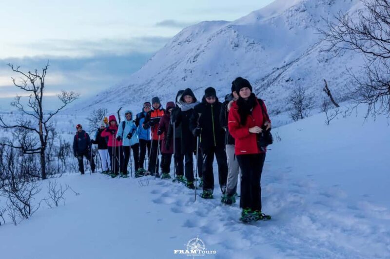 Arctic hike on Kvaløya Island with drinks and snacks - Returning and Reflecting