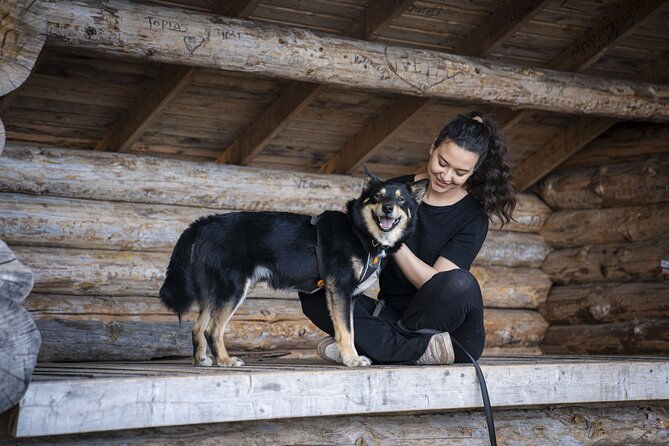 arctic-hiking-with-lappish-dogs