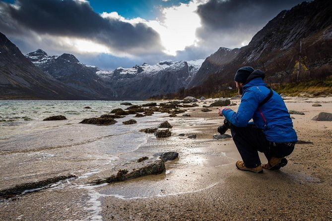 arctic-nature-tour-from-tromso-by-minibus