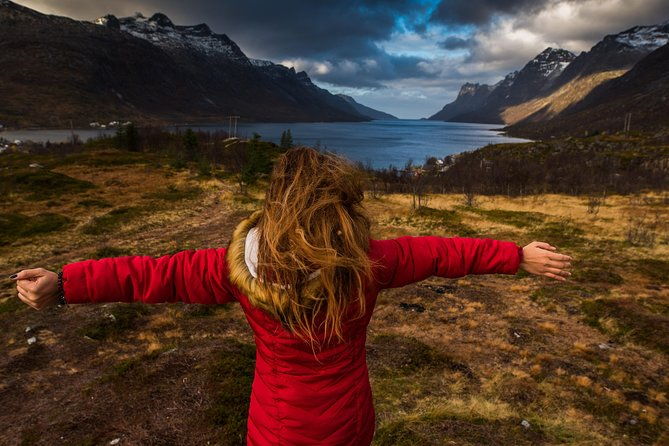 arctic-nature-tour-from-tromso-by-minibus
