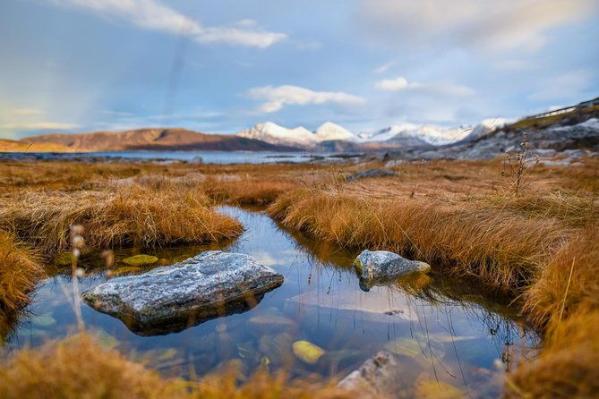 arctic-nature-tour-from-tromso-by-minibus