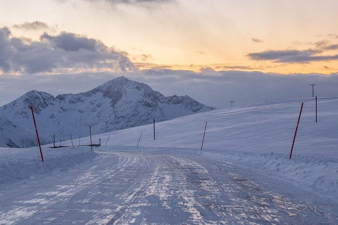 arctic-nature-tour-from-tromso-by-minibus