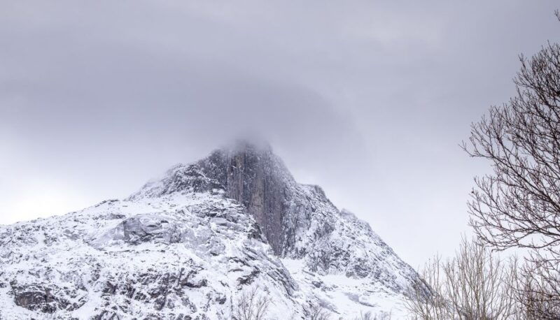 arctic-nature-tour-from-tromso