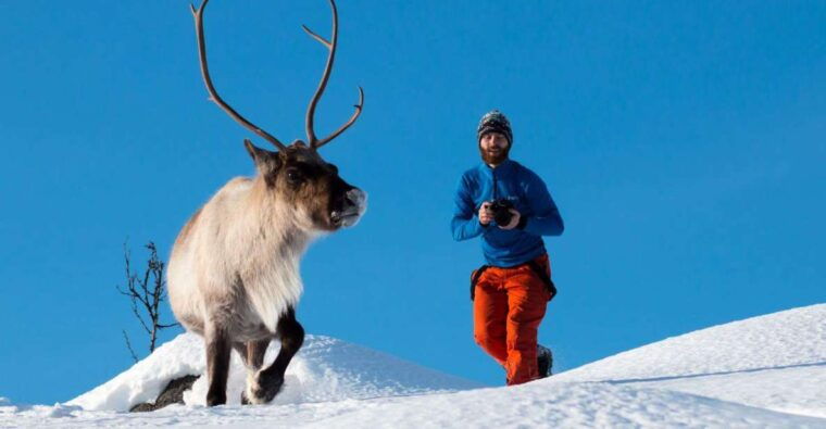 arctic-nature-tour-from-tromso
