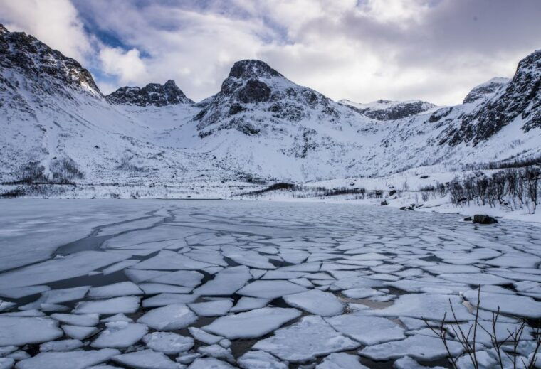 arctic-nature-tour-from-tromso
