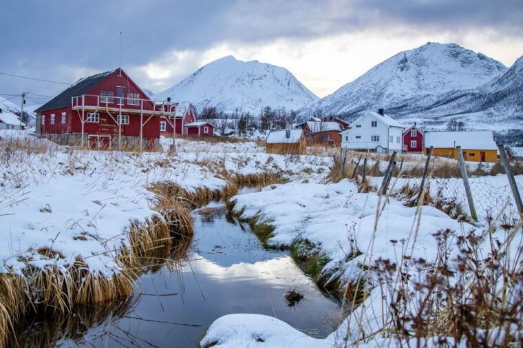 arctic-nature-tour-from-tromso