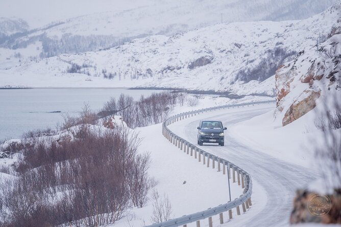 arctic-roadtrip-fjords-with-scenic-picnic-private