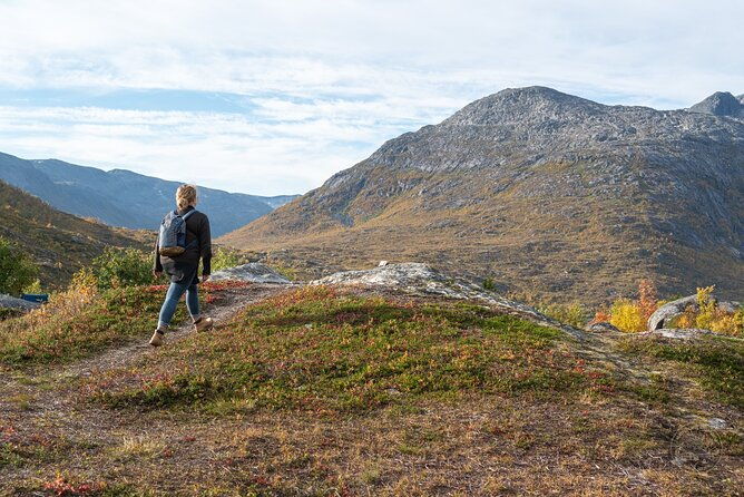 arctic-roadtrip-fjords-with-scenic-picnic-sightseeing