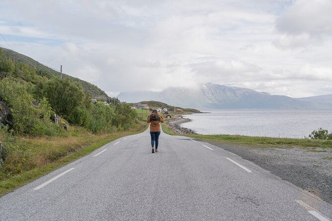 arctic-roadtrip-fjords-with-scenic-picnic-sightseeing