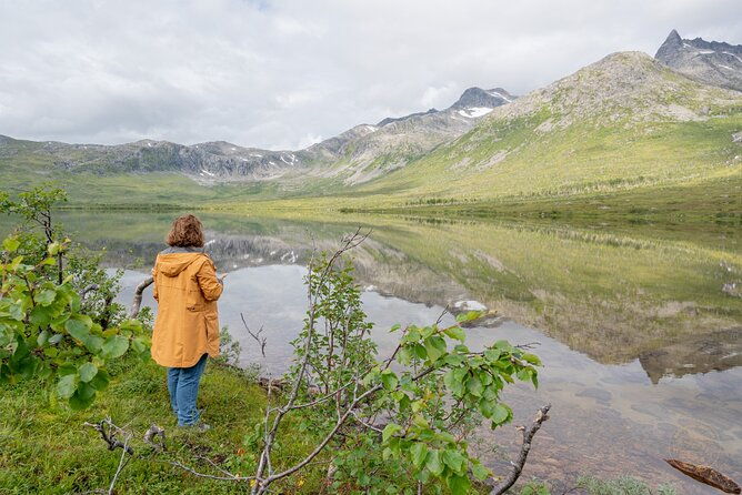 arctic-roadtrip-fjords-with-scenic-picnic-sightseeing