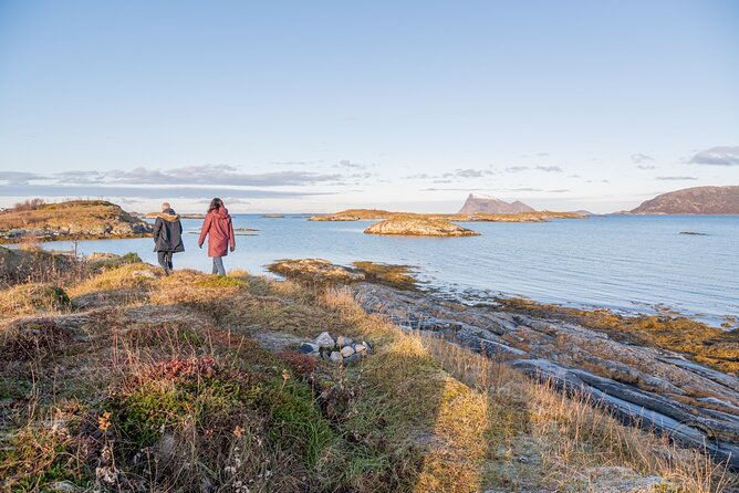 arctic-roadtrip-fjords-with-scenic-picnic-sightseeing