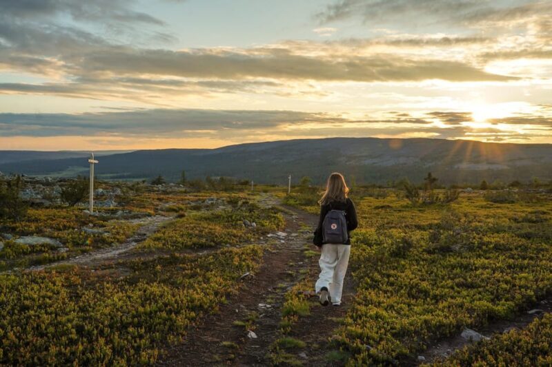 Arctic Wilderness Hike from Rovaniemi (Day & Evening) - Frequently Asked Questions (FAQs)