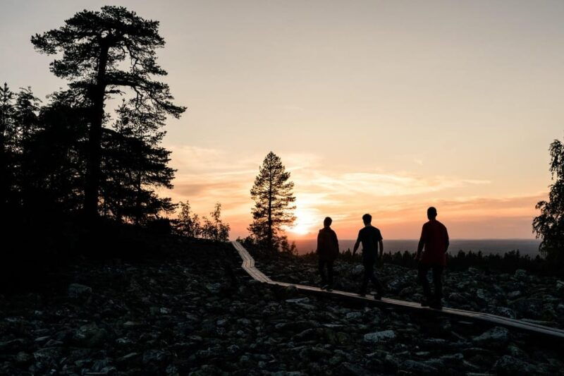 arctic-wilderness-hike-from-rovaniemi-midnight-sun-sunset