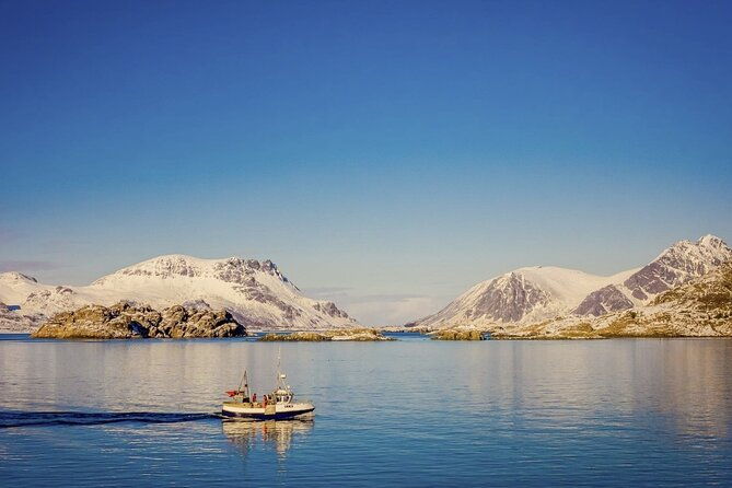 arctic-wildlife-and-fjord-sightseeing-2