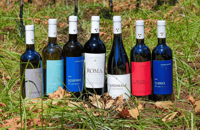 ardea-boutique-winery-visit-and-tasting-near-rome