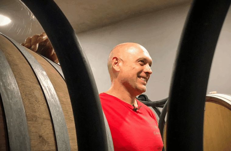 ardea-boutique-winery-visit-and-tasting-near-rome