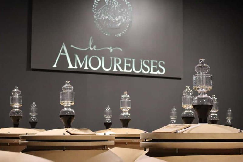 Ardèche: Cellar tour and tasting of 15 wines - Key Points  