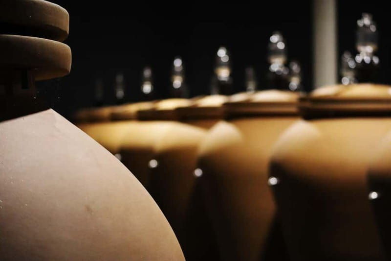 Ardèche: Cellar tour and tasting of 15 wines - The Tasting Experience  