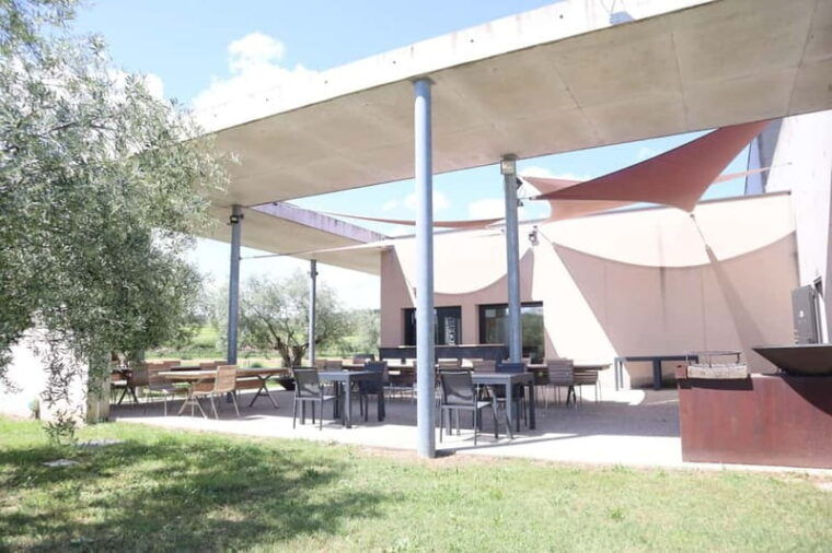 Ardèche: Cellar tour and tasting of 15 wines - Who Will Love This Tour?  