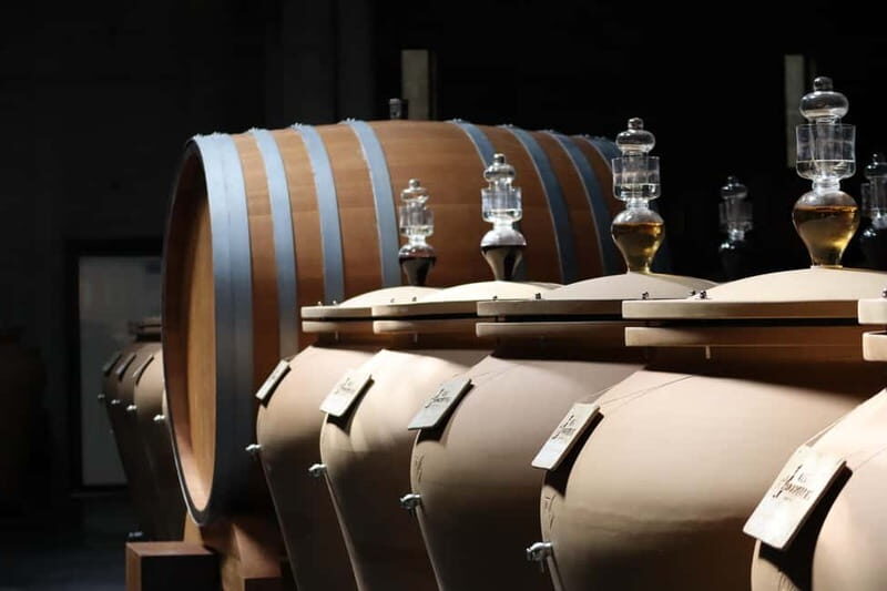 Ardèche: Tour and tasting of wines aged in amphorae and barrels - The Experience Breakdown