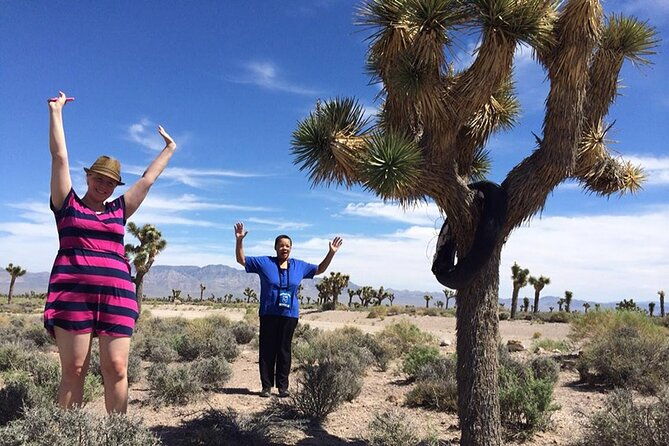 area-51-day-tour-from-las-vegas