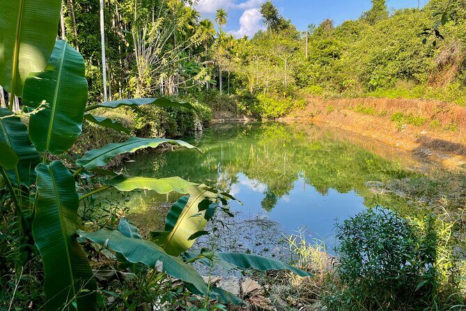 Areca Plantation Walk & Heritage Home visit at Areca County - Key Points