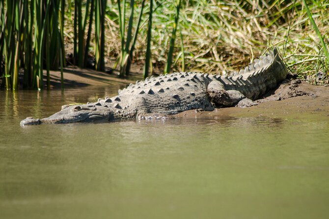 arenal-discovery-adventure-2-safari-float-waterfall-lunch