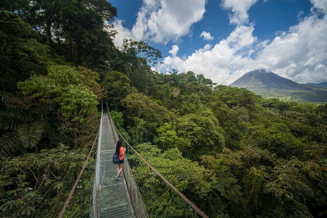 arenal-hanging-bridges-from-arenal