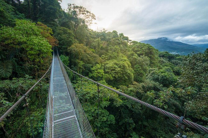 arenal-hanging-bridges-from-arenal