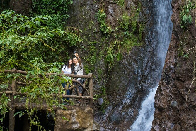 arenal-hanging-bridges-from-arenal