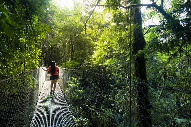 arenal-hanging-bridges-from-la-fortuna