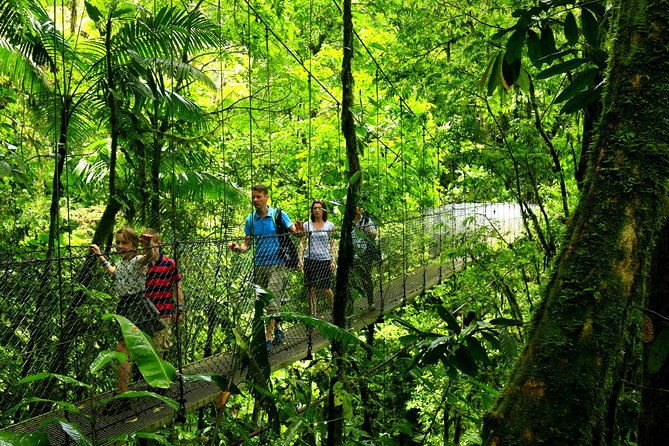 arenal-hanging-bridges-nature-tour