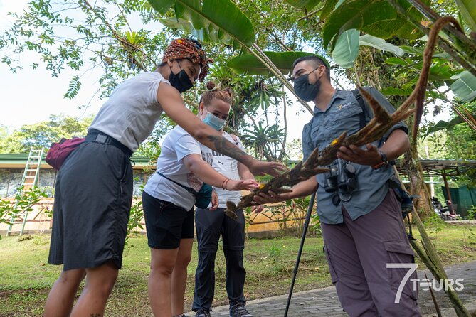arenal-highlights-arenal-1-day-baldi-hot-springs-dinner