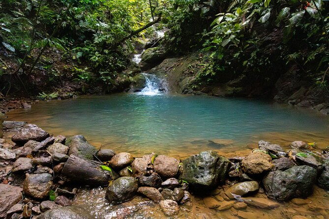 arenal-natural-hiking-trails