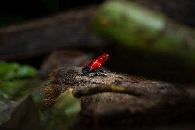 arenal-natural-hiking-trails