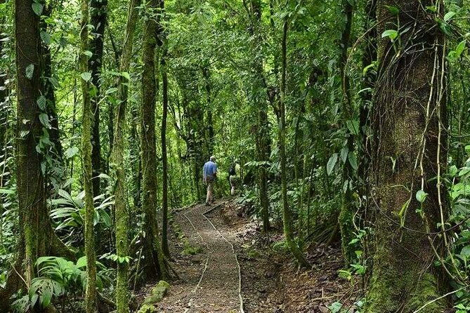 arenal-observatory-trails-admission-ticket