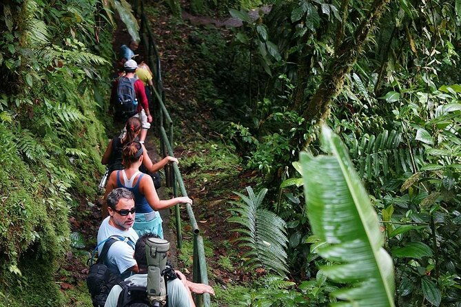 arenal-observatory-trails-admission-ticket