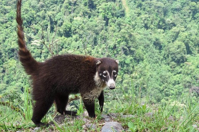 arenal-volcano-experience-full-day-tour-from-san-jose