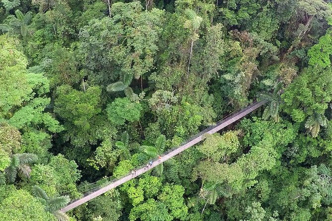 arenal-volcano-hanging-bridges-and-sloth-encounter-tour