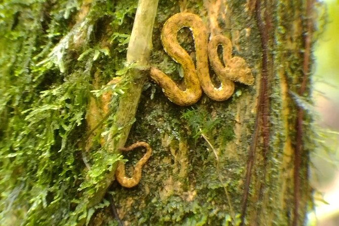 arenal-volcano-hike-la-fortuna