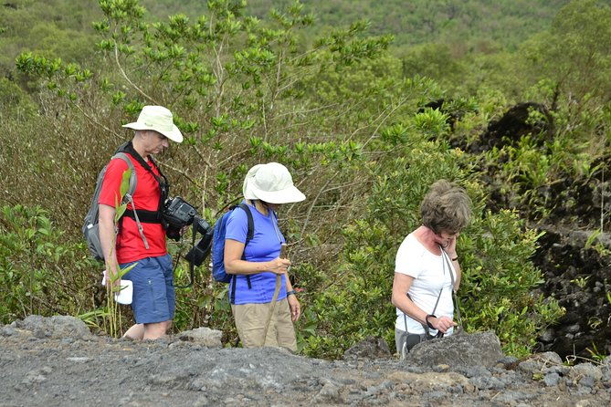 arenal-volcano-lava-trail-and-baldi-hot-springs-with-dinner