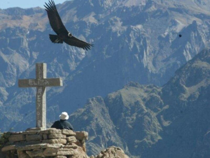 arequipa-2-day-colca-canyon-tour-in-4-star-hotel