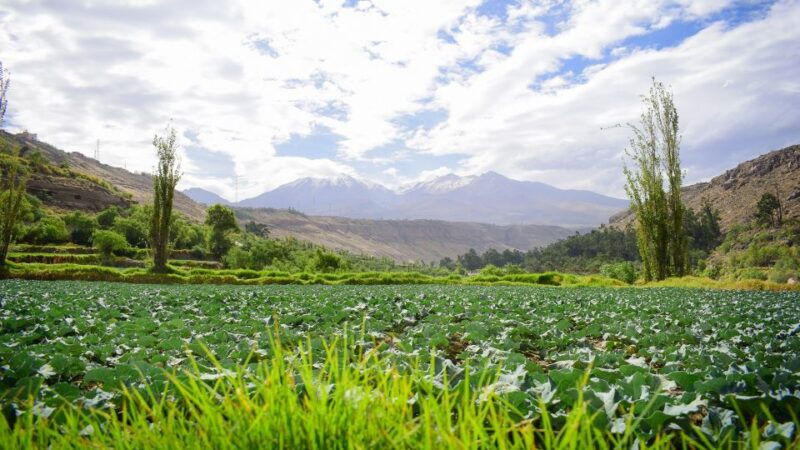arequipa-city-tour-with-panoramic-bus
