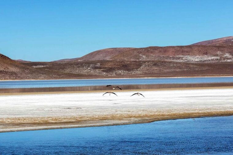 arequipa-excursion-1-day-laguna-de-salinas-hot-springs