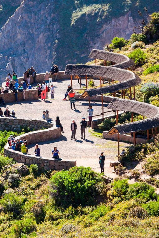 arequipa-full-day-colca-canyon-lunch-transfer-to-puno