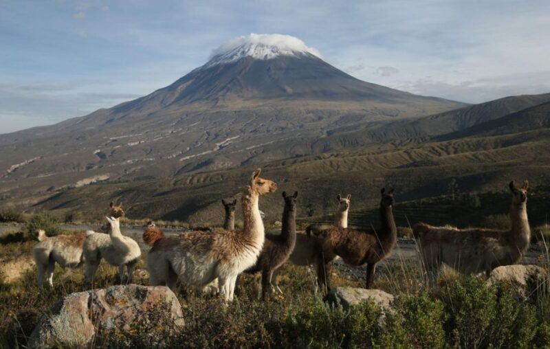arequipa-full-day-colca-canyon-tour-with-transfer-to-puno