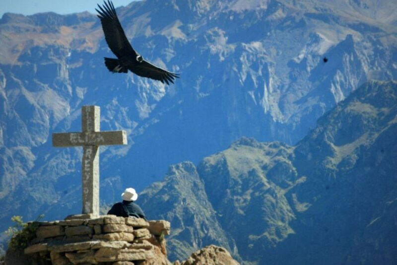 arequipa-full-day-colca-canyon-tour-with-transfer-to-puno